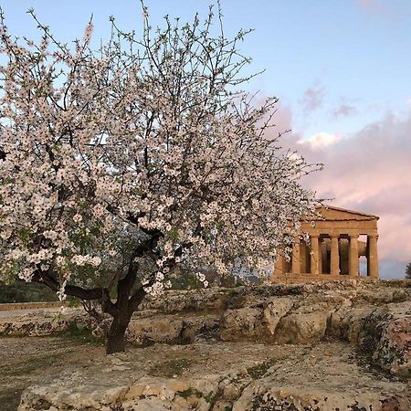 Alfa Quadro Bed & Breakfast Agrigento Exterior foto