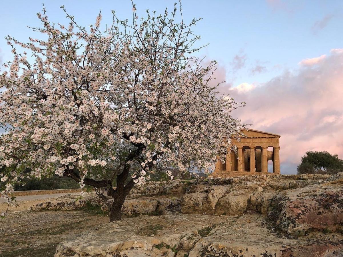 Alfa Quadro Bed & Breakfast Agrigento Exterior foto